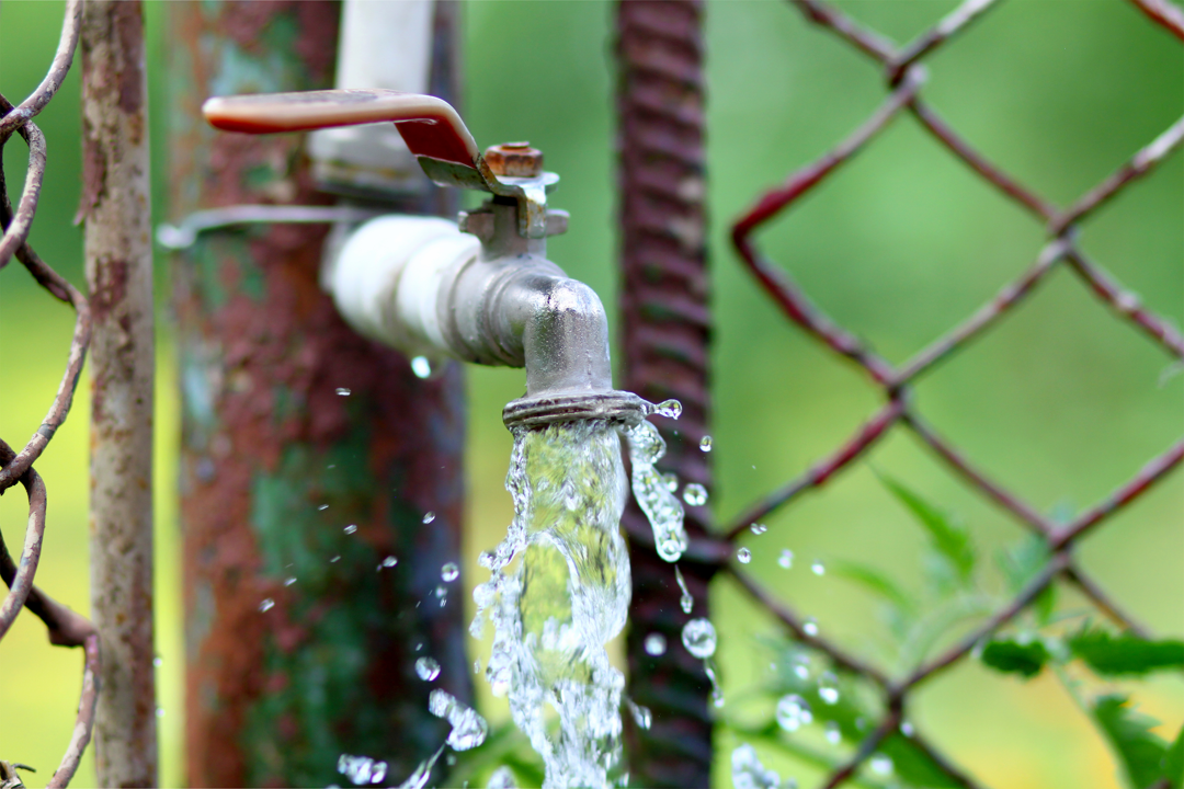 Water